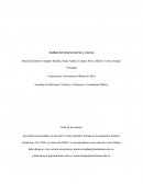 Actividad 4. Análisis interno y externo