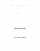 Trayectorias de Institucionalización de los Sistemas de Alta Dirección Pública