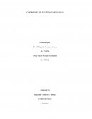 CONDICIONES DE SEGURIDAD ADECUADAS