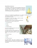 Manual didáctico: toma de rizos