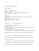 INTRODUCCIÓN A LAS CIENCIAS SOCIALES