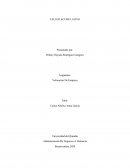 TALLER ACUMULATIVO DE VALORACION DE EMPRESA