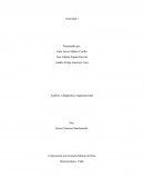 Análisis y diagnóstico organizacional Custom Bike S.A.S