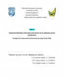Organismos Mundiales y Nacionales relacionados con la Legislación Laboral en Enfermería