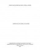 VIOLENCIA DE GENERO MALTRATO CONTRA LA MUJER