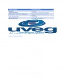 Compartiendo ideas de proyectos de inversión