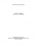 SISTEMA DE CONTROL INTERNO