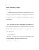 Enfoque de la administración más utilizado por latinos y japoneses