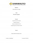 Derivadas E Integrales