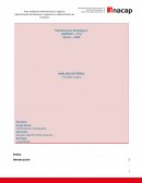 ANÁLISIS INTERNO: Tomates Azapa