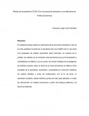 Efectos de la pandemia COVID-19 en la economía mexicana y una alternativa de Política Económica