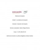 Los sistemas de transporte. Actividad 2. Operación del transporte