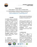 Movimiento armónico simple, péndulo, periodo, Longitud, oscilación