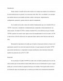 Informe Redes de computaciòn