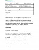 Ideas para Creación de empresas