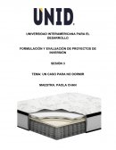 FORMULACIÓN Y EVALUACIÓN DE PROYECTOS DE INVERSIÓN