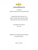 CUADRO COMPARATIVO NIIF CON DECRETO 2649/93