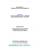 RELATORÍA Nº 1 NOMENCLATURA DE DESLIZAMIENTOS