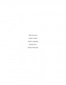 FORMULACION Y EVALUACION DE PROYECTOS