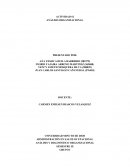 Formulacion de proyecto