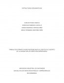ESTRUCTURAS ORGANIZATIVAS