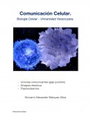 Comunicación Celular