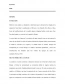 TRAYECTORIA DE LA CIUDAD