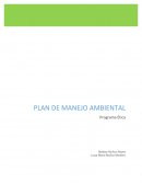 Diseño de un plan de manejo ambiental para un servicio