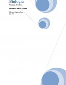 Trabajo Practico Biologia