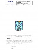 INSTRUCTIVO DE LA GESTIÓN LOGÍSTICA DE LA UNIDAD DE NEGOCIOS DE SERVICIO A BORDO