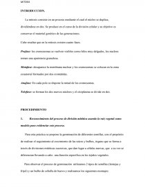 INFORME LABORATORIO MITOSIS. Página 1