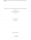 Importancia de conocer y concretar un plan de negocios para la correcta formación de una empresa