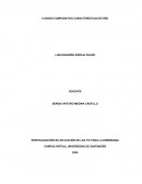 Actividad Cuadro comparativo recursos RED