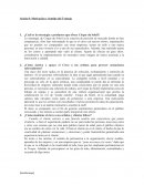 Cirque du soleil. Motivación y Sentido del Trabajo