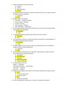 SEMANA 13 CIENCIA Y TECNOLOGÍA