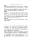 RESEÑA DEFINIENDO EL CONTROL INTELIGENTE