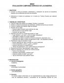 BRIEF EVALUACIÓN CAMPAÑAS SERVICIO DE LAVANDERIA