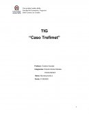 Trefimet análisis demandante