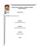 ACTIVIDAD. “Síntesis principios lean.”