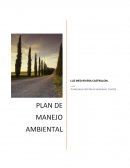 PLAN DE MANEJO AMBIENTAL