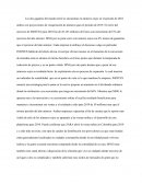 Caso inditex y mango