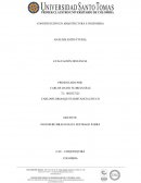 CONSTRUCCIÓN EN ARQUITECTURA E INGENIERIA . ANÁLISIS ESTRUCTURAL