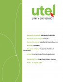 Inteligencia profesional-organizativa