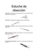 Estuche de disección