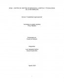 Articulo trazabilidad organizacional