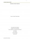 Movimiento Vertical de Caída Libre