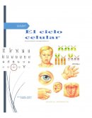 Investigación sobre el síndrome de Down