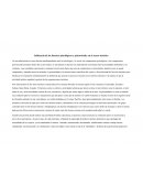 Influencia de los factores psicológicos y psicosociales en el sector turístico