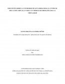 INFORME PERCEPCIÓN DE LA UNIVERSIDAD UDES