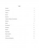 Congestionamiento del tránsito vehicular